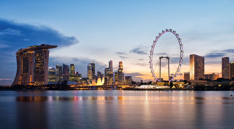 Hogan Advanced Interpretation Certification (English) – Singapore